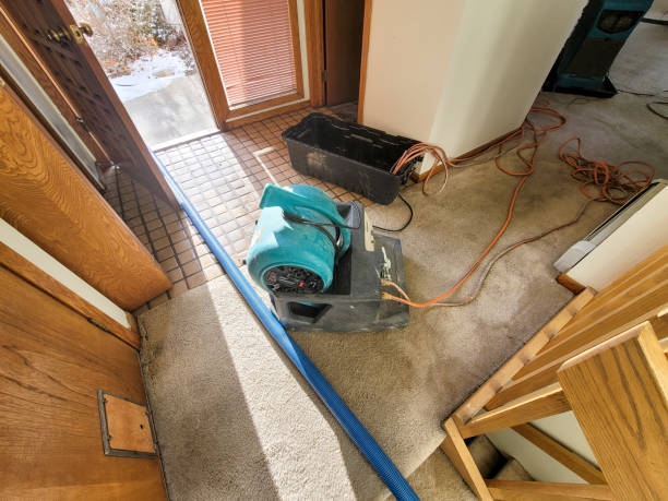 Best Emergency water damage restoration  in Somerton, AZ