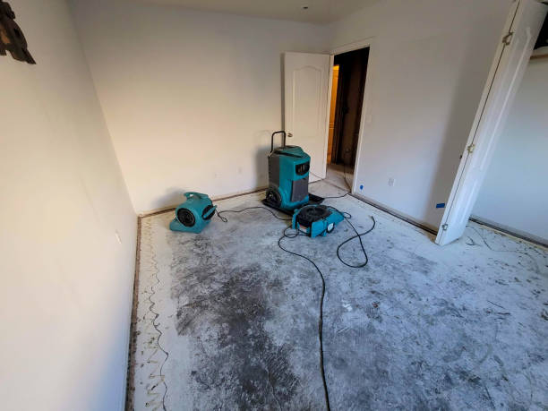 Best Water damage restoration process  in Somerton, AZ