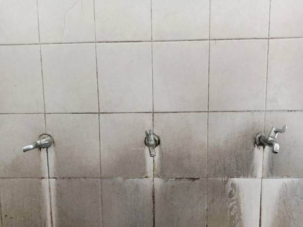 Best Water damage mitigation services  in Somerton, AZ