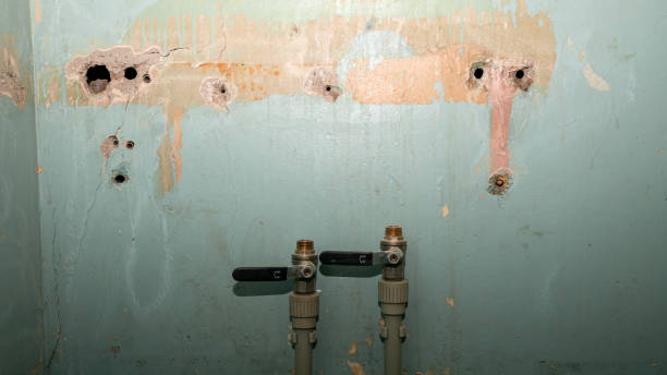 Professional Water damage restoration in AZ