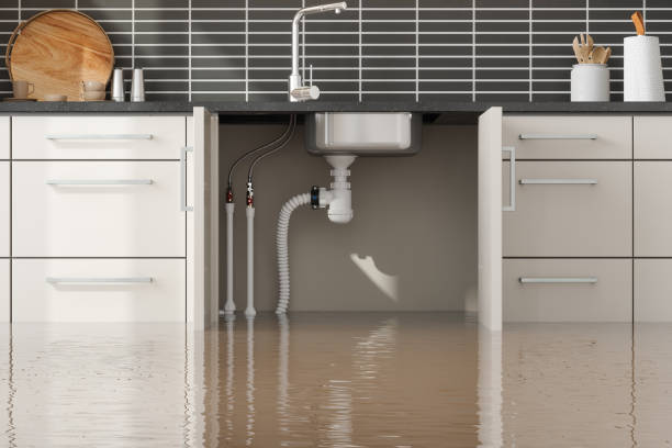 Best Residential water damage restoration  in Somerton, AZ