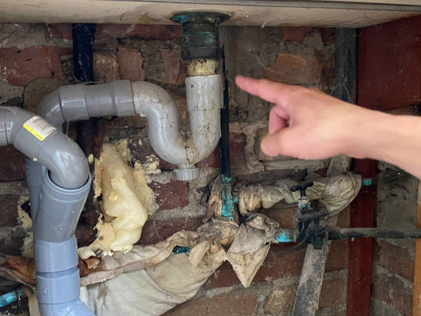 Best Water damage restoration near me  in Somerton, AZ