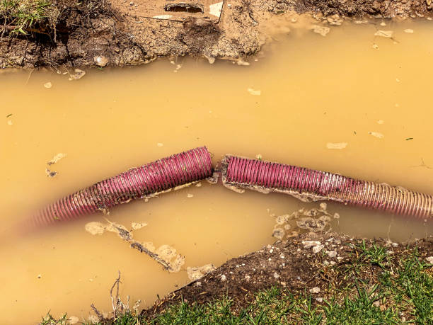 Best Water damage contractors near me  in Somerton, AZ